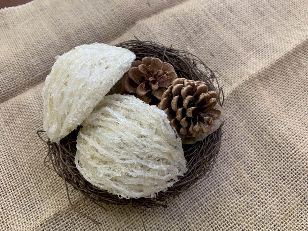 Bird's nest is one of the famous products in Nha Trang 